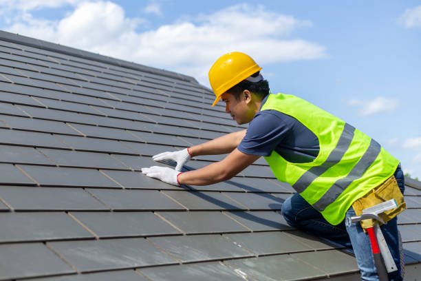 Best Roof Gutter Cleaning  in Ashland, OH